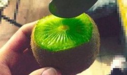 杭州抖音网红吃瓜事件,揭秘网络舆论的风暴与真相