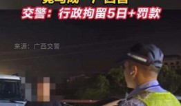 白宇代驾最新爆料新闻,最新爆料揭露惊人内幕